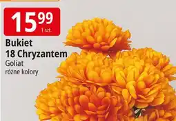 E.Leclerc Chryzantema bukiet Goliat oferta