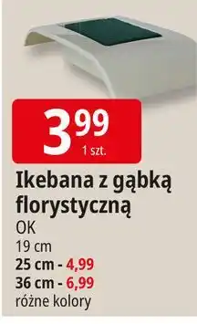 E.Leclerc Ikebana z gąbką florystyczną 36 cm Ok Katarzyna Ostrowska oferta