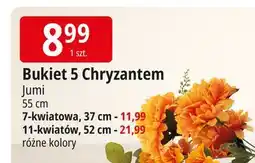 E.Leclerc Bukiet chryzantem Jumi oferta