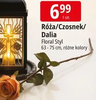E.Leclerc Dalia pojedyncza Floral Styl oferta