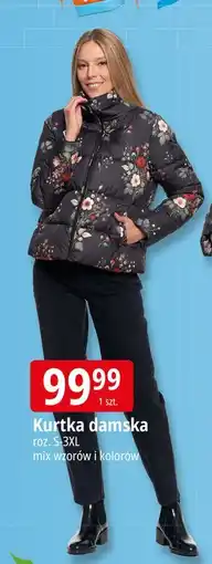 E.Leclerc Kurtka damska s-3xl oferta
