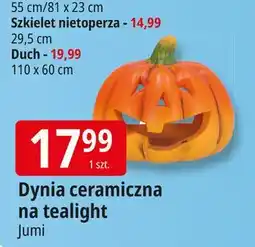 E.Leclerc Dynia ceramiczna Jumi oferta