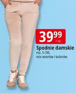E.Leclerc Spodnie damskie s-3xl oferta