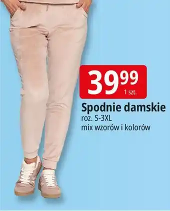 E.Leclerc Spodnie damskie s-3xl oferta
