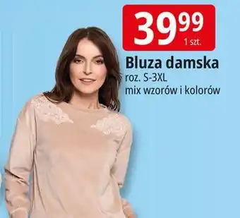 E.Leclerc Bluza damska s-3xl oferta
