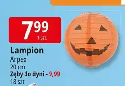 E.Leclerc Zęby do dyni Arpex oferta