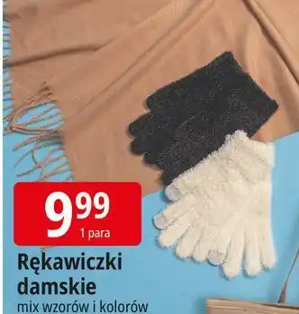 E.Leclerc Rekawiczki damskie oferta