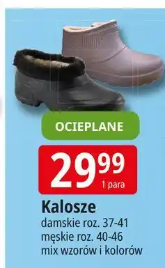 E.Leclerc Kalosze męskie oferta