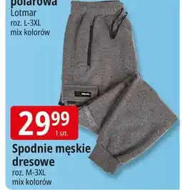 E.Leclerc Spodnie dresowe męskie rozm. m-3xl oferta