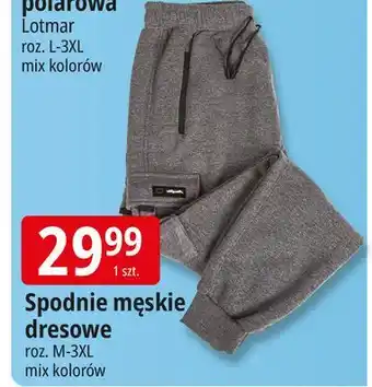E.Leclerc Spodnie dresowe męskie rozm. m-3xl oferta