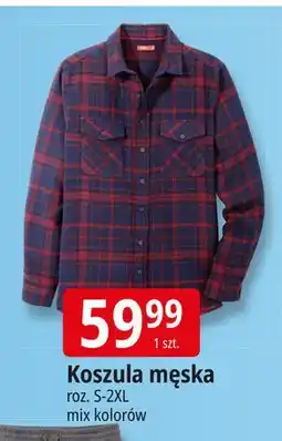 E.Leclerc Koszula męska s-2xl Tissaia oferta