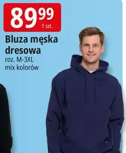 E.Leclerc Bluza dresowa męska Moraj oferta