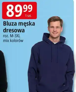 E.Leclerc Bluza dresowa męska Moraj oferta