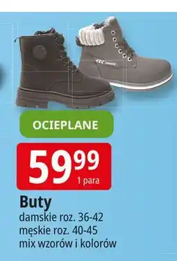 E.Leclerc Buty męskie 40-45 oferta