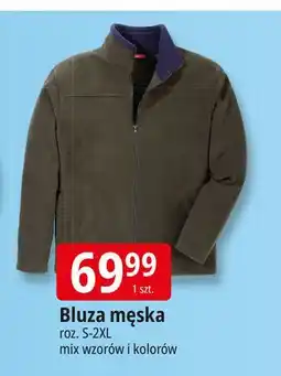 E.Leclerc Bluza męska dresowa s-2xl Tissaia oferta