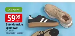 E.Leclerc Buty damskie sportowe 36-41 oferta