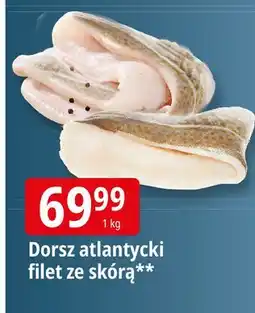 E.Leclerc Dorsz atlantycki filet ze skórą oferta