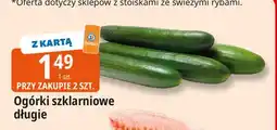 E.Leclerc Ogórek szklarniowy długi oferta
