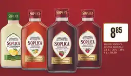 Dino Wódka Soplica Malinowa oferta
