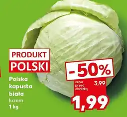 Kaufland Kapusta biała Kaufland oferta