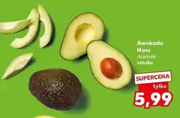 Kaufland Awokado Hass Kaufland oferta