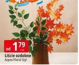 E.Leclerc Liście ozdobne oferta