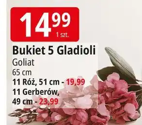 E.Leclerc Bukiet gerberów Goliat oferta