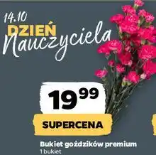 Netto Bukiet goździki oferta