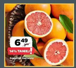 Netto Grejpfruty czerwone oferta