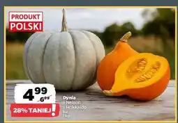 Netto Dynia hokkaido oferta