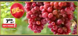 Netto Winogrona red globe oferta