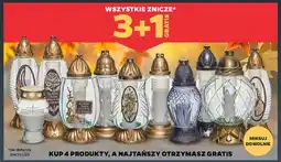Netto Znicz oferta