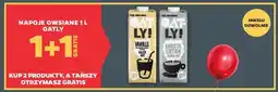 Netto Napój owsiany waniliowy Oatly oferta