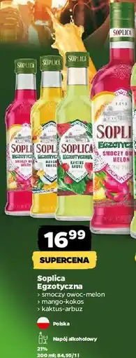 Netto Likier 21% Soplica Kaktus-Arbuz oferta