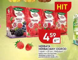 Chata Polska Herbata herbaciany ogród oferta