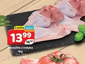 Delfin Skrzydło z indyka oferta