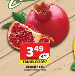 Delfin Granat oferta