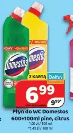 Delfin Płyn do WC Domestos oferta