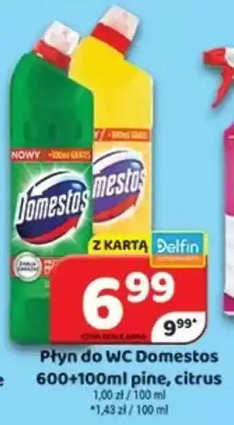 Delfin Płyn do WC Domestos oferta