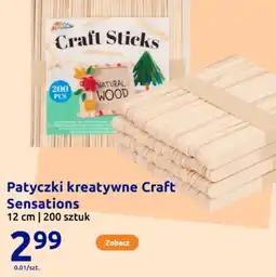 Action Patyczki kreatywne Craft Sensations oferta
