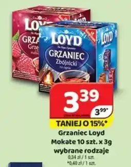 Delfin Grzaniec Loyd Mokate oferta