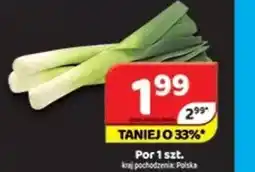Delfin Por oferta