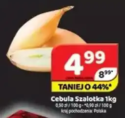 Delfin Cebula szalotka oferta