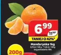 Delfin Mandarynka oferta