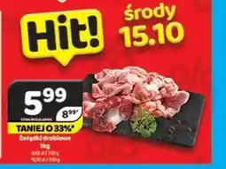 Delfin Żołądki drobiowe oferta