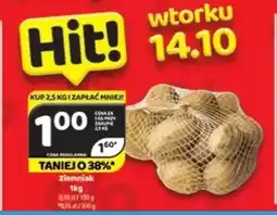 Delfin Ziemniak oferta