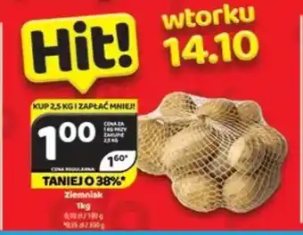 Delfin Ziemniak oferta