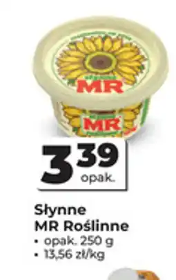 Odido Słynne MR Roślinne oferta