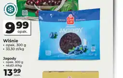 Odido Jagody oferta