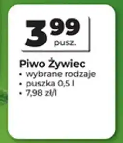Odido Piwo Żywiec oferta